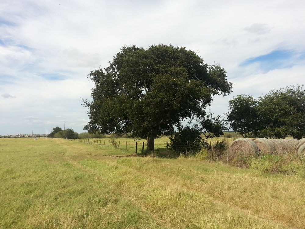 4721 N State Highway 123, San Marcos, TX 78666